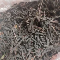 فروش چای بهاره با ۳۰٪ تخفیف