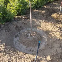 باغبانی|خدمات باغبانی و درختکاری|همدان, |دیوار