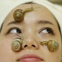 فروش حلزون آلبینو مخصوص حلزون‌تراپی|خزنده|قروه, |دیوار