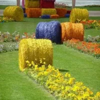 طراحی فضای سبز باغبانی گل و گیاه کاشت اجرای مهندسی|خدمات باغبانی و درختکاری|تهران, شهرک غرب|دیوار