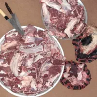 قصاب سیار قصابی گاو گوسفند و... در محل