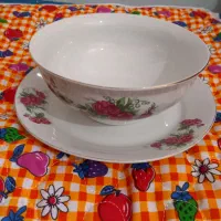 ظرف گل سرخی