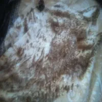 ۲عدد پتو ترولاو نو نو بدون استفاده