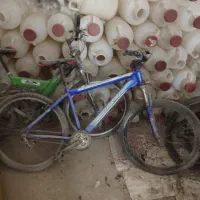 دوچرخ|دوچرخه، اسکیت، اسکوتر|پاکدشت, خاتون آباد|دیوار