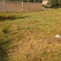 فروش زمین مسکونی در روستای جمال آباد|فروش زمین و ملک کلنگی|قصابه, |دیوار