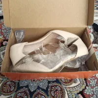 کیف و کفش مجلسی سایز ۴۰