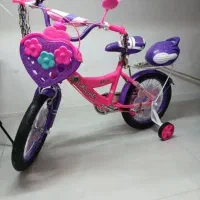 دوچرخه شاهین +چرخ