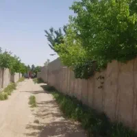 باغ-625-متری-بهترین-لوکیشن-مزرعه-قلوس-سند-مادری