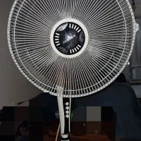 پنکه مارک سانی