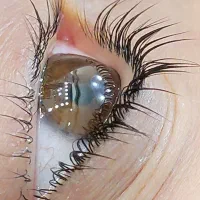 لیفت و لمینیت مژه، لیفت ابرو بوتاکس تراپی/قلی‌پور|خدمات آرایشگری و زیبایی|رشت, آزادگان|دیوار