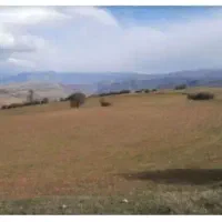 زمین-کشاورزی-متری-80
