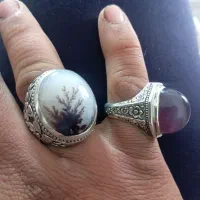 شجر|جواهرات|کرمان, |دیوار