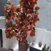درختچه مصنوعی|گل مصنوعی|سهند, |دیوار