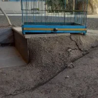 قفس پرنده کار  دست قمی بافت