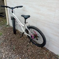 دوچرخه تایوانی اصلی