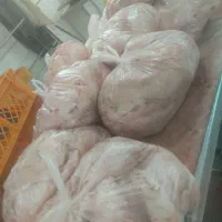 گوشت گوساله و گوسفند لاشه وتیکه ای و چرخ کرده|خوردنی و آشامیدنی|اصفهان, عسگریه|دیوار