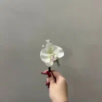 دسته‌گل عروس با سازه اروپایی|گل و گیاه طبیعی|تهران, امانیه|دیوار