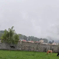 فروش زمین/ ویودار/ ۲۸۰متری/با بهترین شرایط پرداخت|فروش زمین و ملک کلنگی|تالش, هشتپر|دیوار