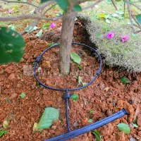 آبیاری قطره ای|خدمات باغبانی و درختکاری|رشت, فرزانه|دیوار