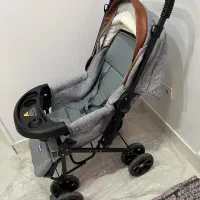 فروش کالسکه دلیجان نو