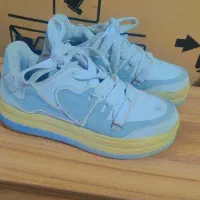 کفش|کیف، کفش، کمربند|گرگان, |دیوار