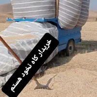 کاه نخود ...مسینم