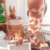 ست سیسمونی کودک نو