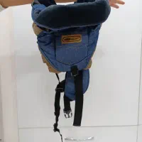 سیسمونی|کالسکه و لوازم جانبی|شیراز, زند|دیوار