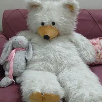 خرس بزرگ سفید