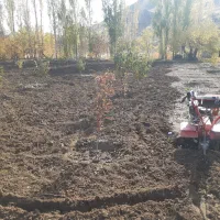 تیلر زنی انواع باغات|خدمات باغبانی و درختکاری|سنندج, |دیوار