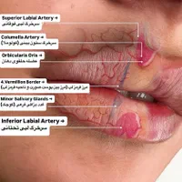 استخدام پرستارکلینیک زیبایی|استخدام درمانی، زیبایی، بهداشتی|تهران, قیطریه|دیوار