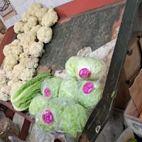 میز میوه فروشی|فروشگاه و مغازه|محمدیه-قزوین, |دیوار