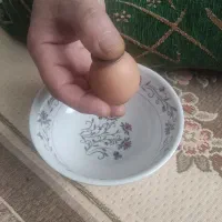 شکستن تخم مرغ جهت چشم زخم ومریضی رفع بلا