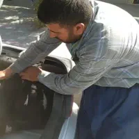 قوچ دزدیده شده|حیوانات|رزن, |دیوار