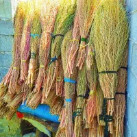 جارو خانگی