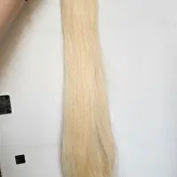 موطبیعی۱۵۰شاخه بلوندسالم ولخت
