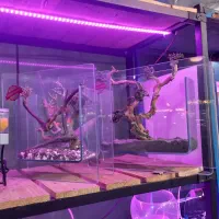 آکواریوم فایتر شرکتی ۳ بعدی رومیزی طرح خاص