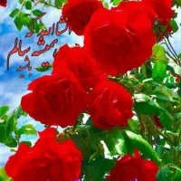 سیم کارت مدیریتی