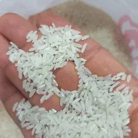 برنج پاکستانی ، هندی