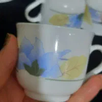 فنجان و نعلبکی لومینارک فرانسه آرکوپال فلو