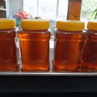 عسل مطمئن