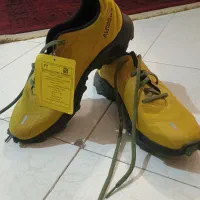 کتونی سالامون