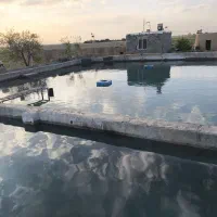 اجاره استخر برا ماهی