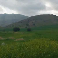 اجاره-زمبن-کشاورزی