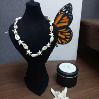 گردنبندصدفی|بدلیجات|تهران, صد دستگاه|دیوار