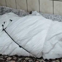 پارچه رفلکتوربرای محافظت ازگلخانه|عمده‌فروشی|مرودشت, بیست متری بیمارستان|دیوار