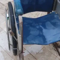 ویلچر ودوعددالک بر گندم