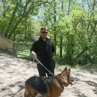 سگ گمشده|حیوانات|کرج, حصارک بالا|دیوار