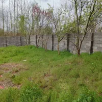 1000متر زمین70متر بنا کلیدنخورده (دور دیوار دو بر)|فروش خانه و ویلا|لشت نشا, |دیوار