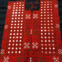 زی استین هزار اینه